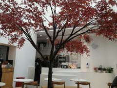 -艾薯夫妇Aysh(福田星河COCOPark店)