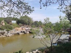 -北京西山国家森林公园