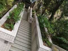 -香港大学