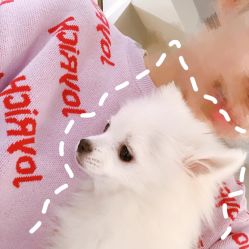 -U+nail优加专业美甲美睫