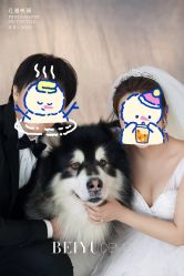 -北遇映画PHOTO GRAPHY STUDIO