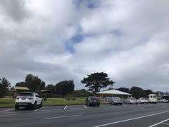 -Dooley's Premium Ice Cream