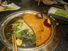 -熊喵来了火锅·牧场好肉(邯郸邯山万达店)