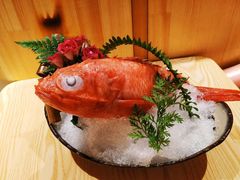 野生冰鲜金吉鱼-鲔屋寿喜烧