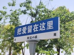 -南通鲜花小镇