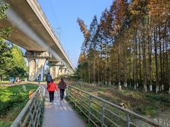 -桤木河湿地公园