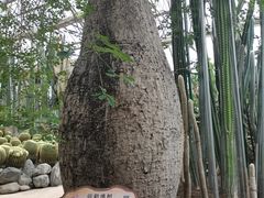 -南山植物园