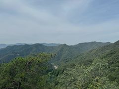 -龙坞茶村