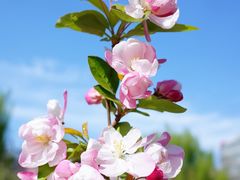 -海棠花溪(元大都城垣遗址公园)
