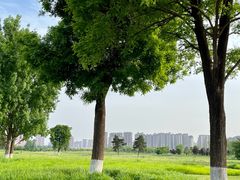 -汉长安城未央宫国家考古遗址公园