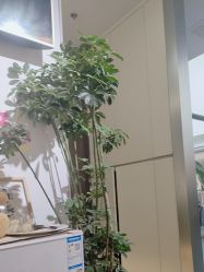 -MB·nail美甲美睫