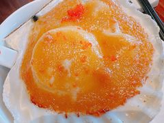 -顺德了能馆(虎门店)