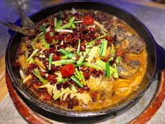 -老板恋上鱼(恒隆广场店)