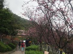 -小南山公园