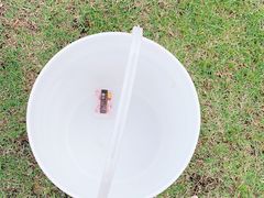 -滨湖塘西河公园