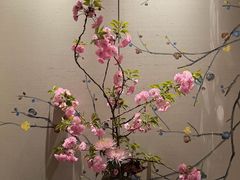 -浙江西子宾馆·牡丹厅
