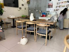 大堂-平行世界·猫咖(首经贸店)