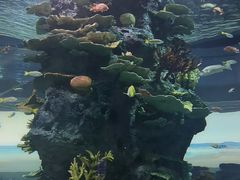 -福州罗源湾海洋世界旅游区