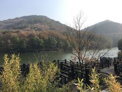 -白马涧龙池景区