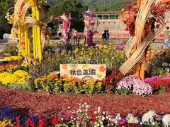 -北京十三陵国家森林公园蟒山景区