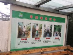 -红崖峡谷景区