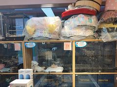 -FAELING PETS美天灵宠物(富力广场店)