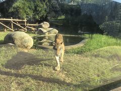 -泉州海丝野生动物世界