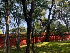 -北陵公园