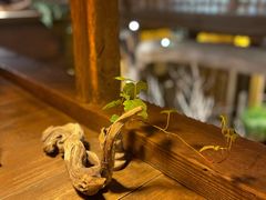 -普洱茶府(博乐广场店)