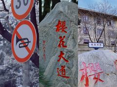 -武汉大学-樱园