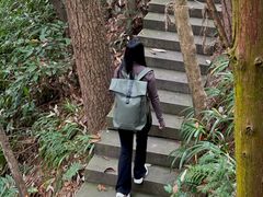 -峨眉山报国寺