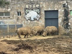 -无锡动物园·太湖欢乐园