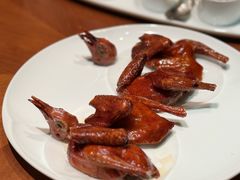 脆皮妙龄鸽-新荣记(建国门外大街店)