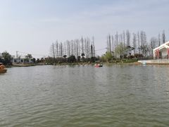 -上海长兴岛郊野公园