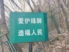 -紫金山山顶公园