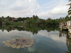 -三亚珠江南田温泉度假区