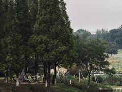 -宜兴龙背山森林公园