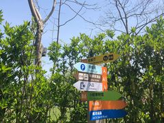 -前小桔亲子创意农场·草莓采摘·露营烧烤