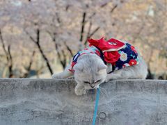 -龙美术馆(西岸馆)
