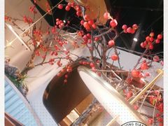 -佬肥猫(国华广场店)