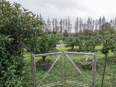 -前小桔亲子创意农场·草莓采摘·露营烧烤