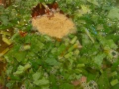 -老三羊汤【北兴隆街店】