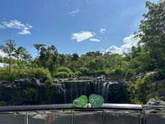 -新加坡飞禽公园