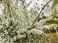 -梁鸿国家湿地公园