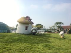 -上海都市菜园