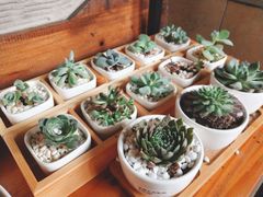 -彼芝奇比萨(红坊店)