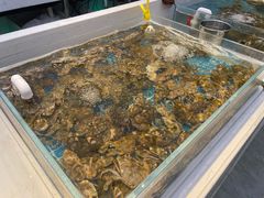 水产区-集品鲜湾·蒸汽海鲜自助料理(青岛银座和谐广场店)