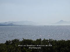 -福田红树林生态公园