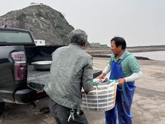 -花岙岛