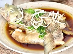 -田螺阿姨自营月嫂·育儿嫂(高新店)